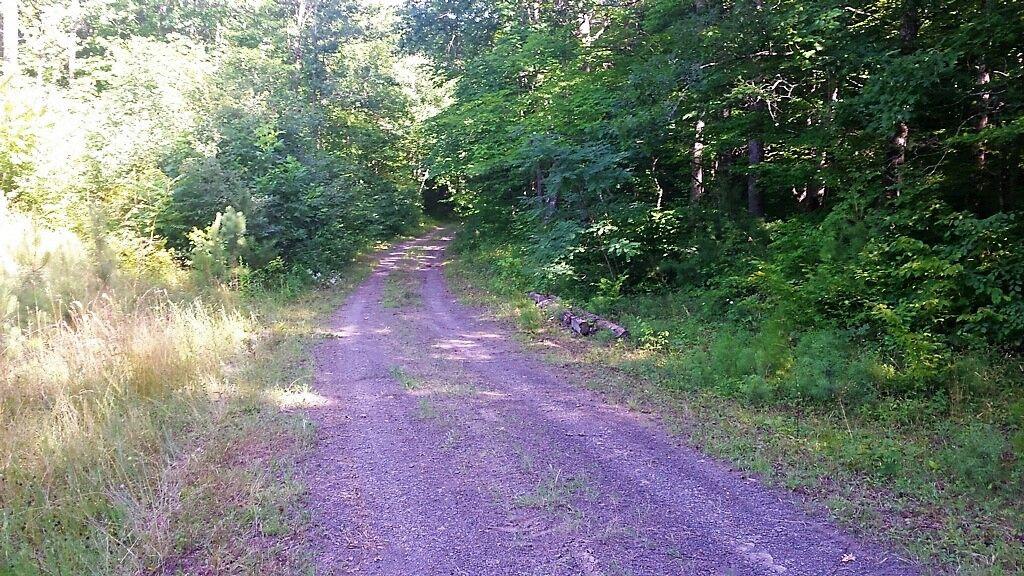 Interior Road (3)