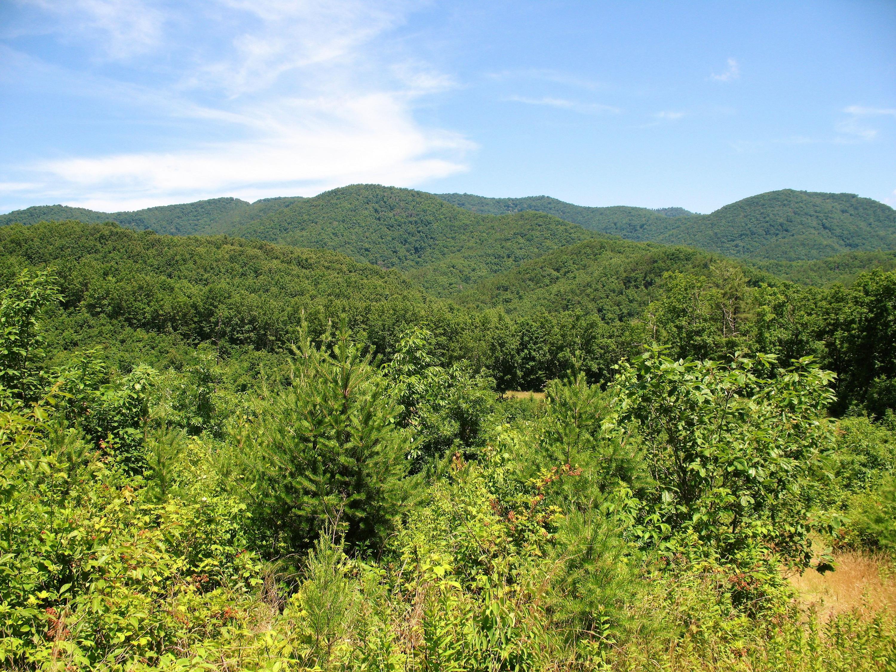 Oliver Mountain View (1)