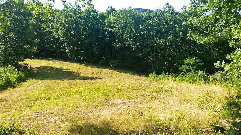 0 Indian Draft Road Covington, VA 24426 - Photo 8 of 12 Small Field On Property