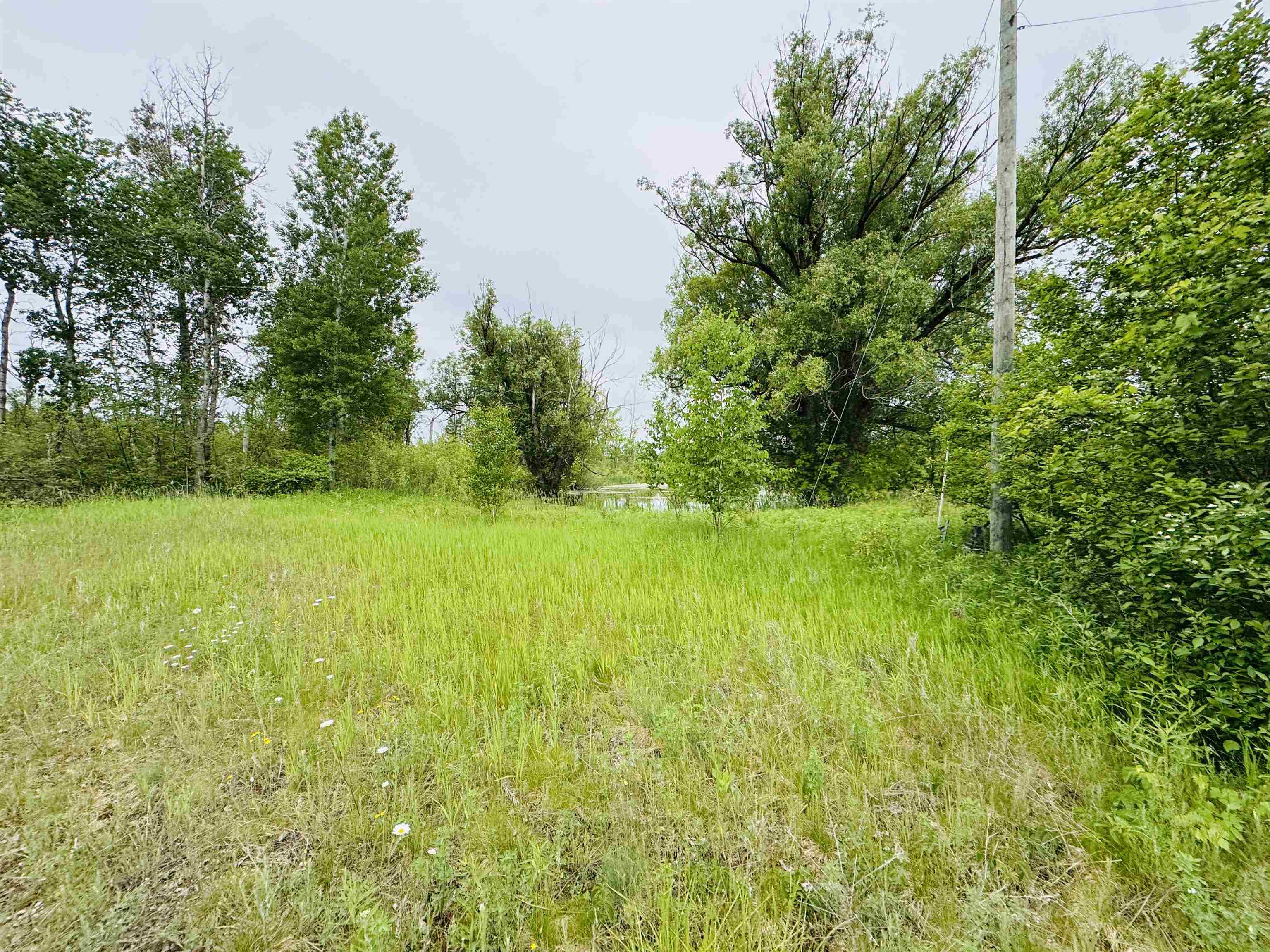 12 East 3/4 Road Kingsley, MI 49649 - Photo 11 of 24 Gallery Image 11