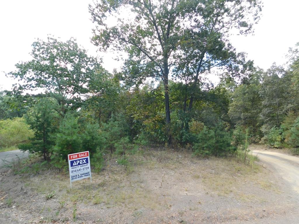0 Wrangletown Road Shirleysburg, PA 17260 - Photo 3 of 28 Gallery Image 3