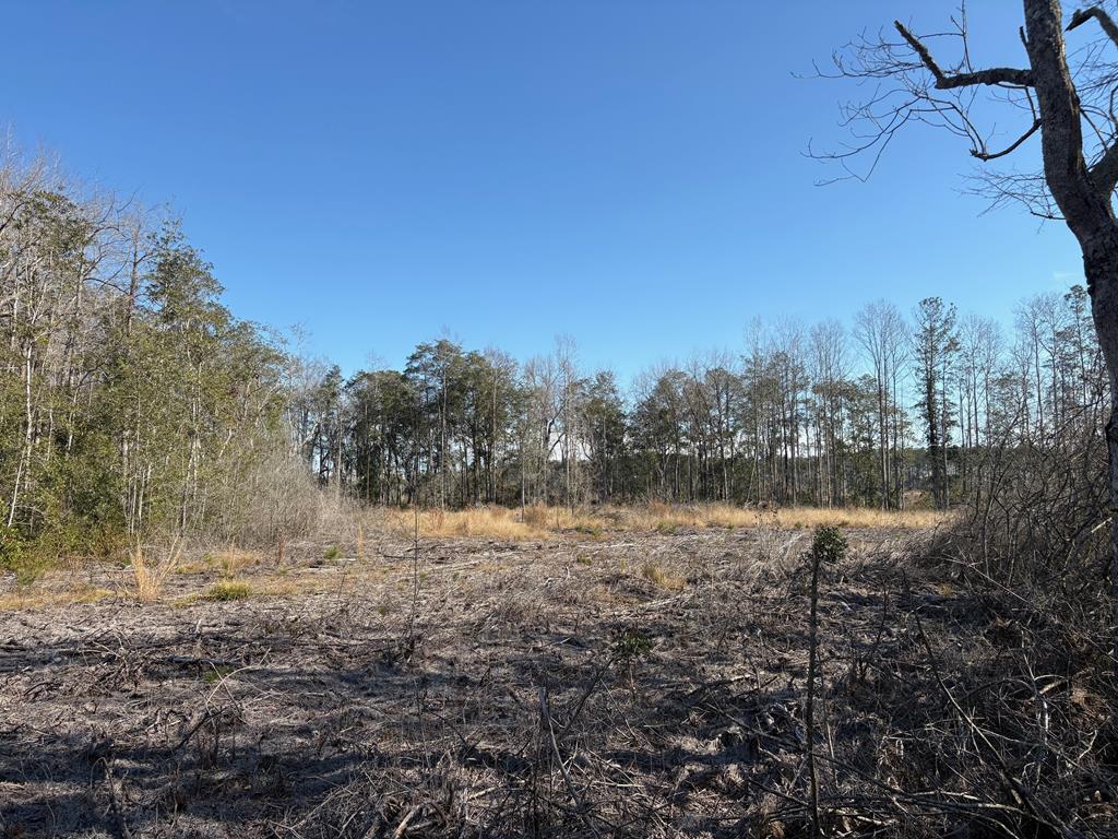 87 Highway 87 Samson, AL 36477 - Photo 30 of 47