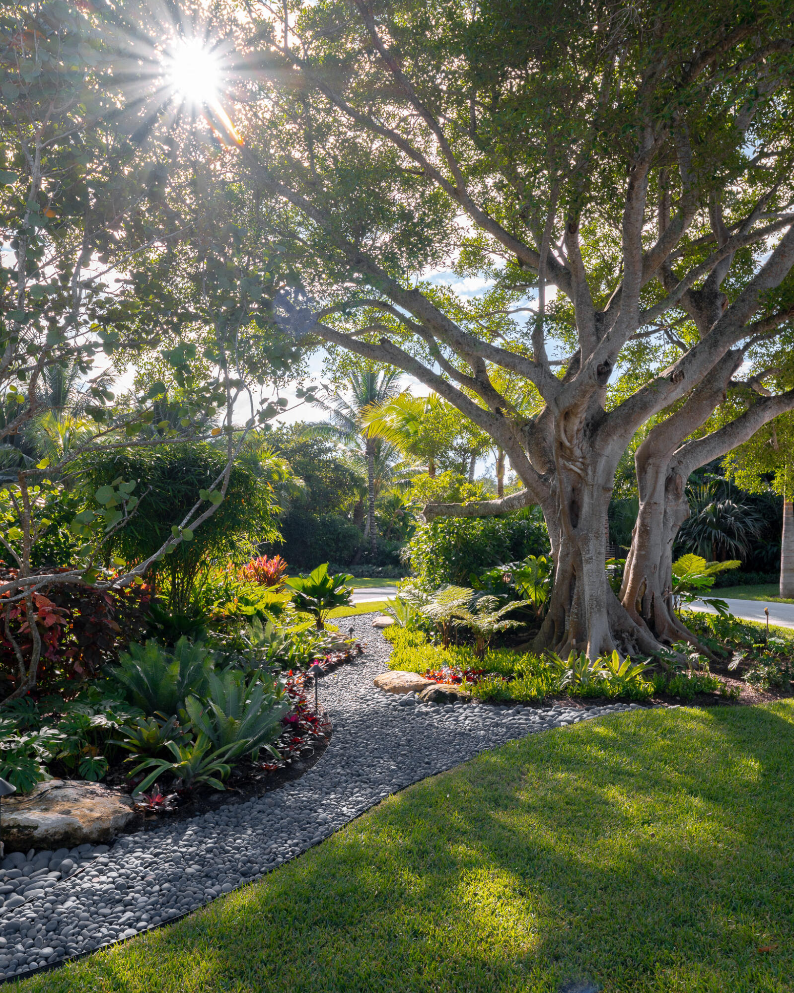 488 South Beach Road Jupiter Island, FL 33455 - Photo 9 of 54 a view of a backyard with large tree