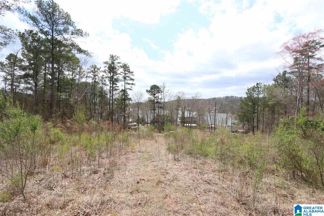 0 Sagebrush Road, Unit 13 Ashville, AL 35953 - Photo 7 of 10