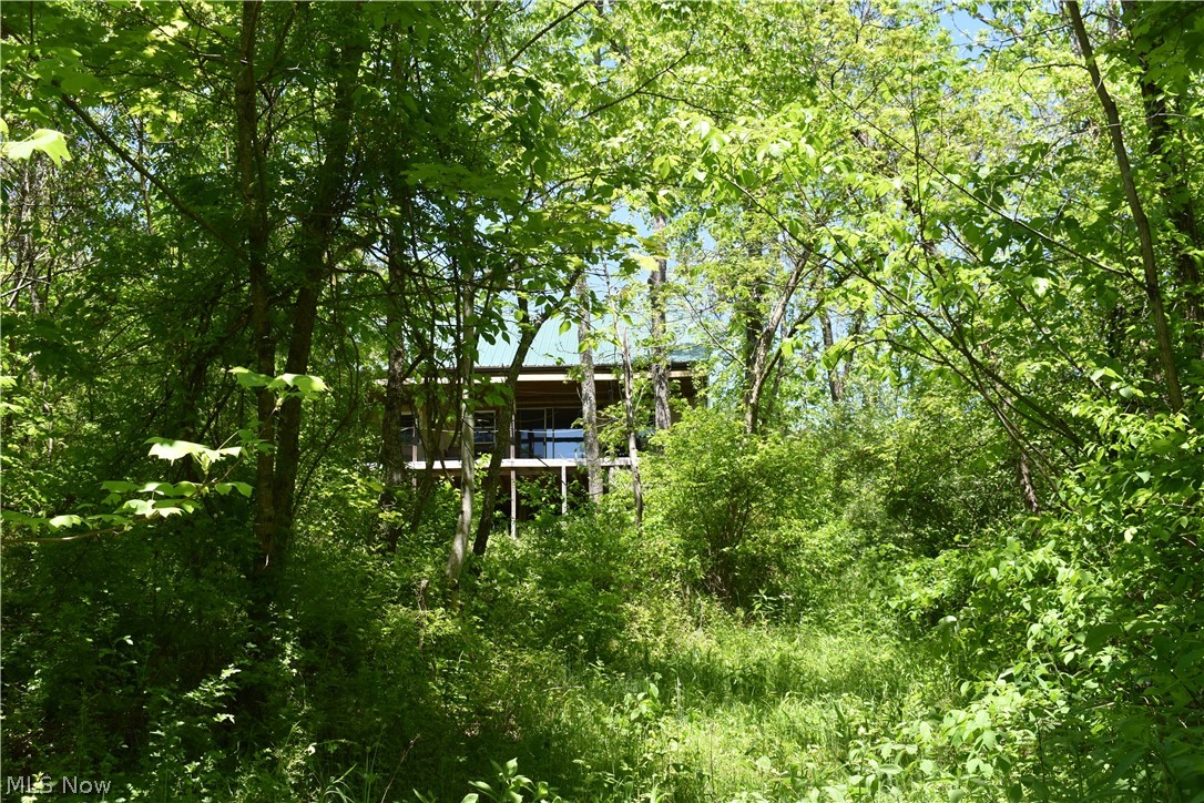 33822 Hopewell Ridge Road Lower Salem, OH 45745 - Photo 29 of 35