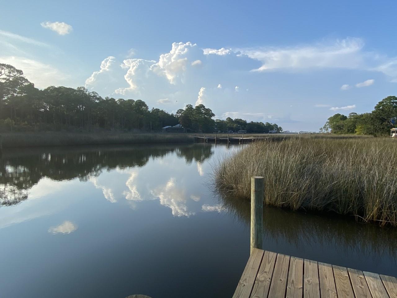 941 Mussett Bayou Road Santa Rosa Beach, FL 32459 - Photo 8 of 14 Daxton pic 3