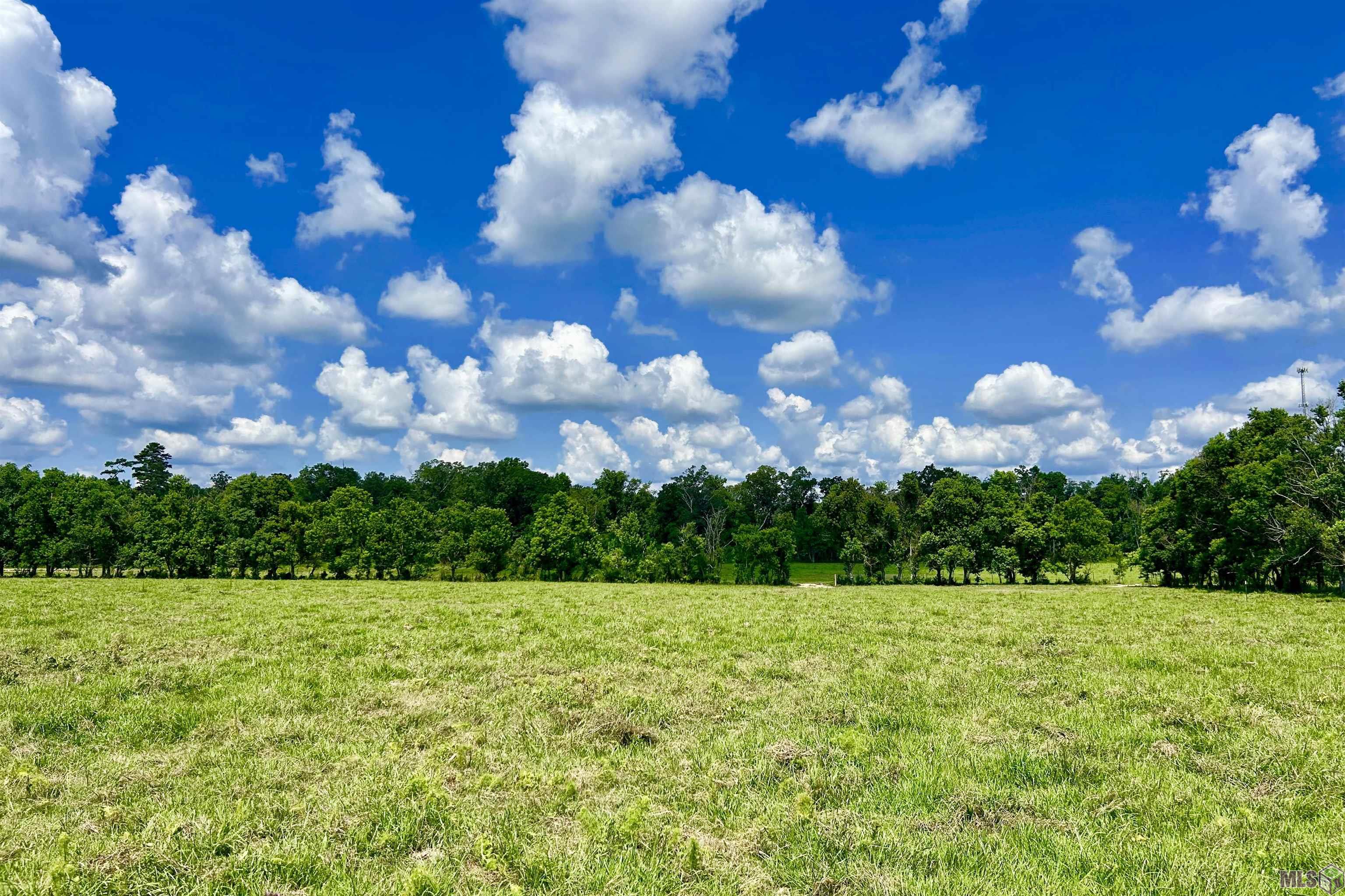 2 Carrier Road Pine Grove, LA 70453 - Photo 1 of 12 Gallery Image 1