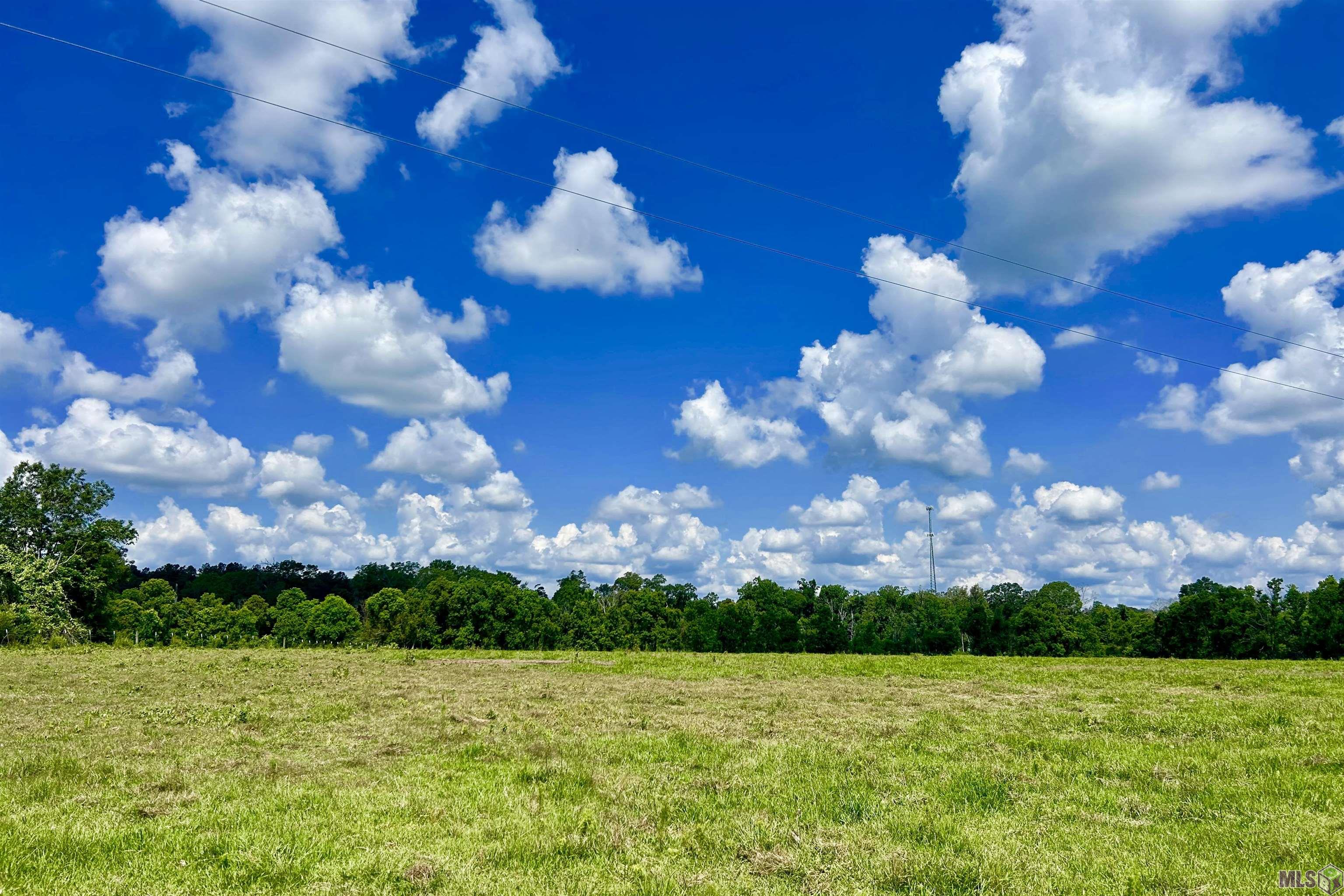 2 Carrier Road Pine Grove, LA 70453 - Photo 2 of 12 Gallery Image 2