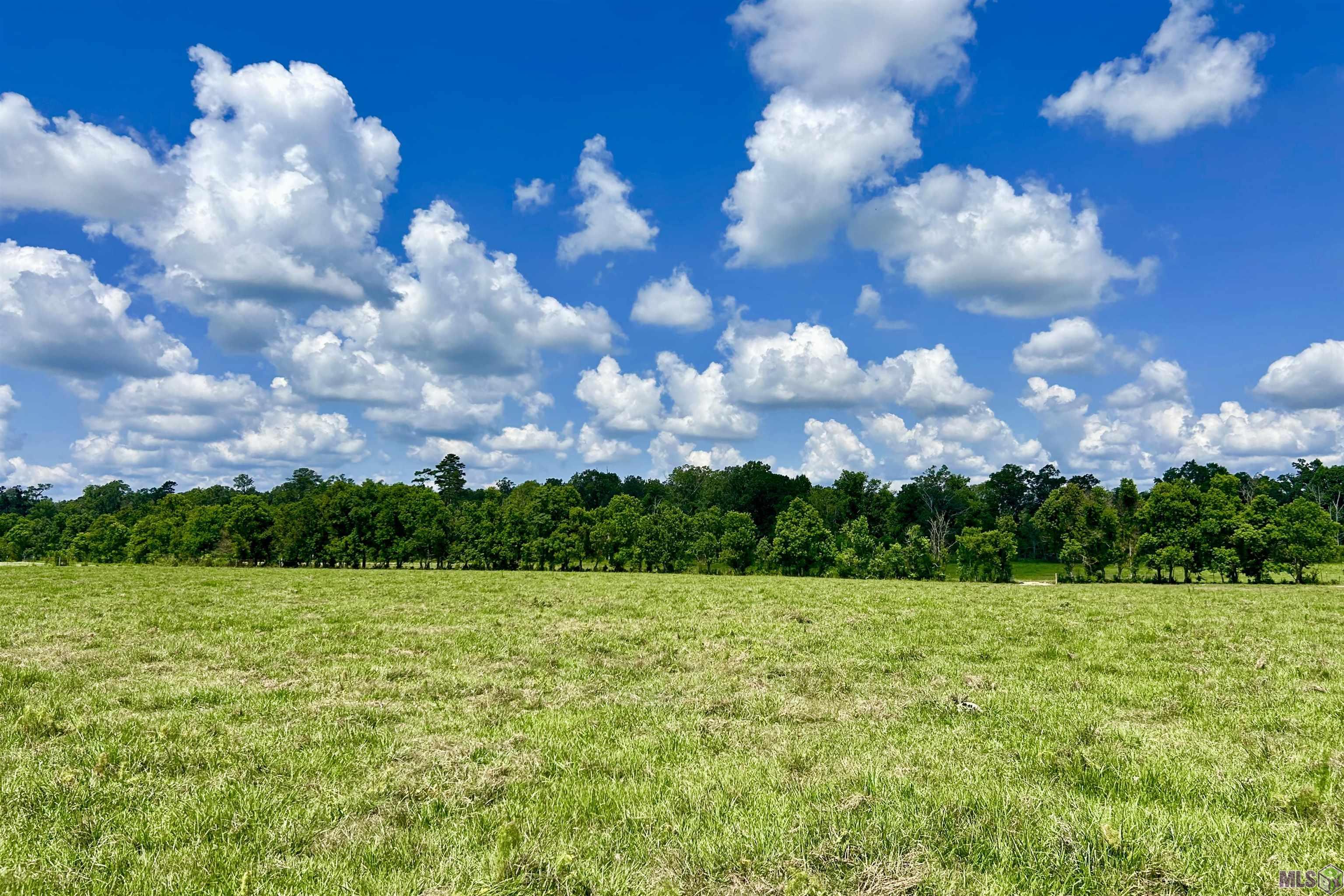 2 Carrier Road Pine Grove, LA 70453 - Photo 5 of 12 Gallery Image 5