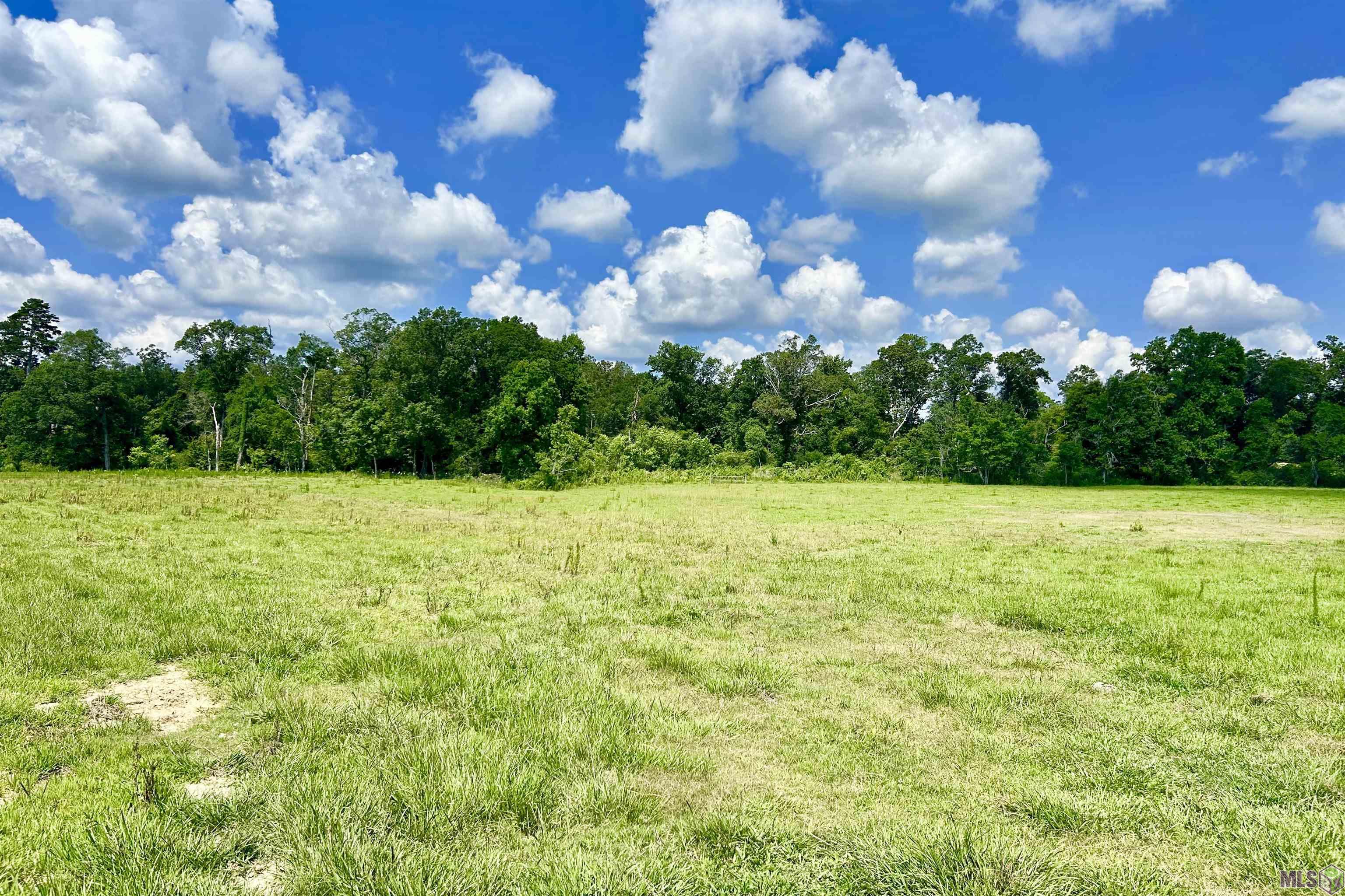 2 Carrier Road Pine Grove, LA 70453 - Photo 6 of 12 Gallery Image 6