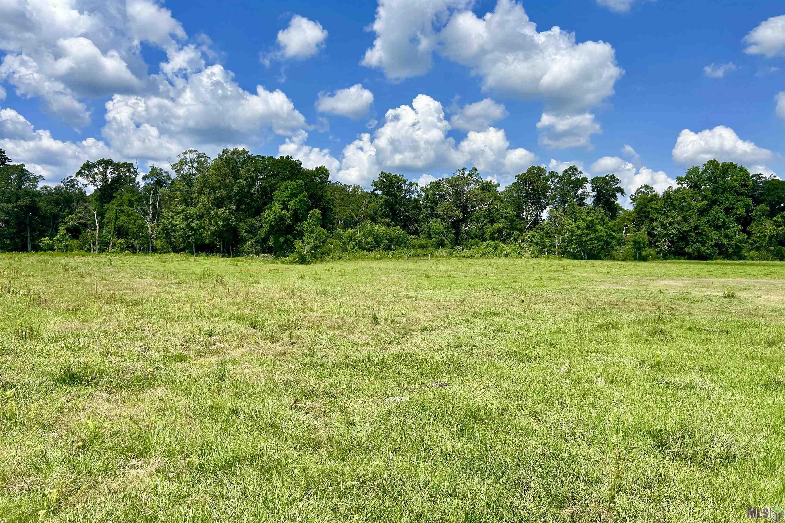 2 Carrier Road Pine Grove, LA 70453 - Photo 8 of 12 Gallery Image 8