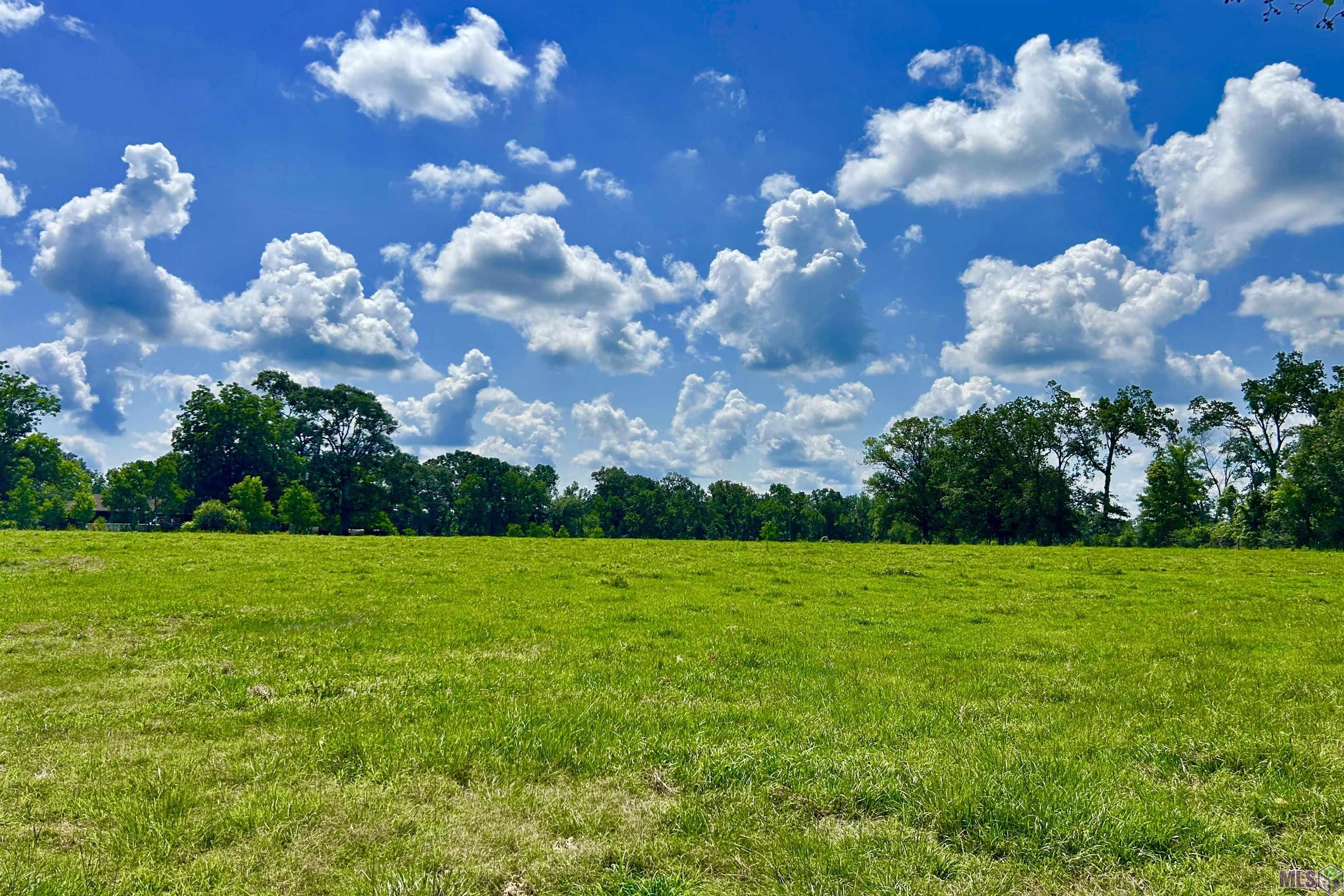 2 Carrier Road Pine Grove, LA 70453 - Photo 9 of 12 Gallery Image 9