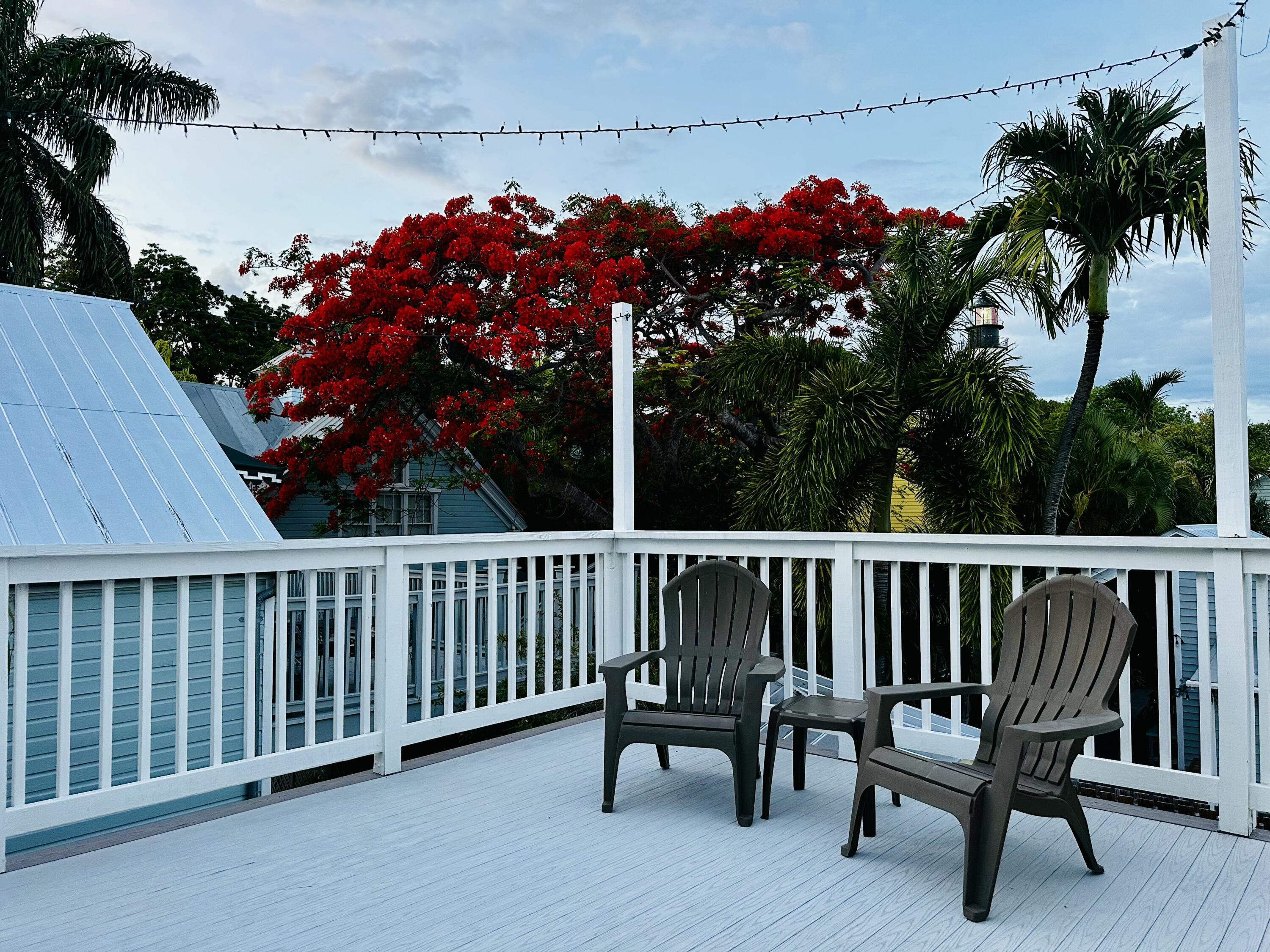 927 Thomas Street, Unit 4 Key West, FL 33040 - Photo 18 of 22 Royal Poinciana in Bloom