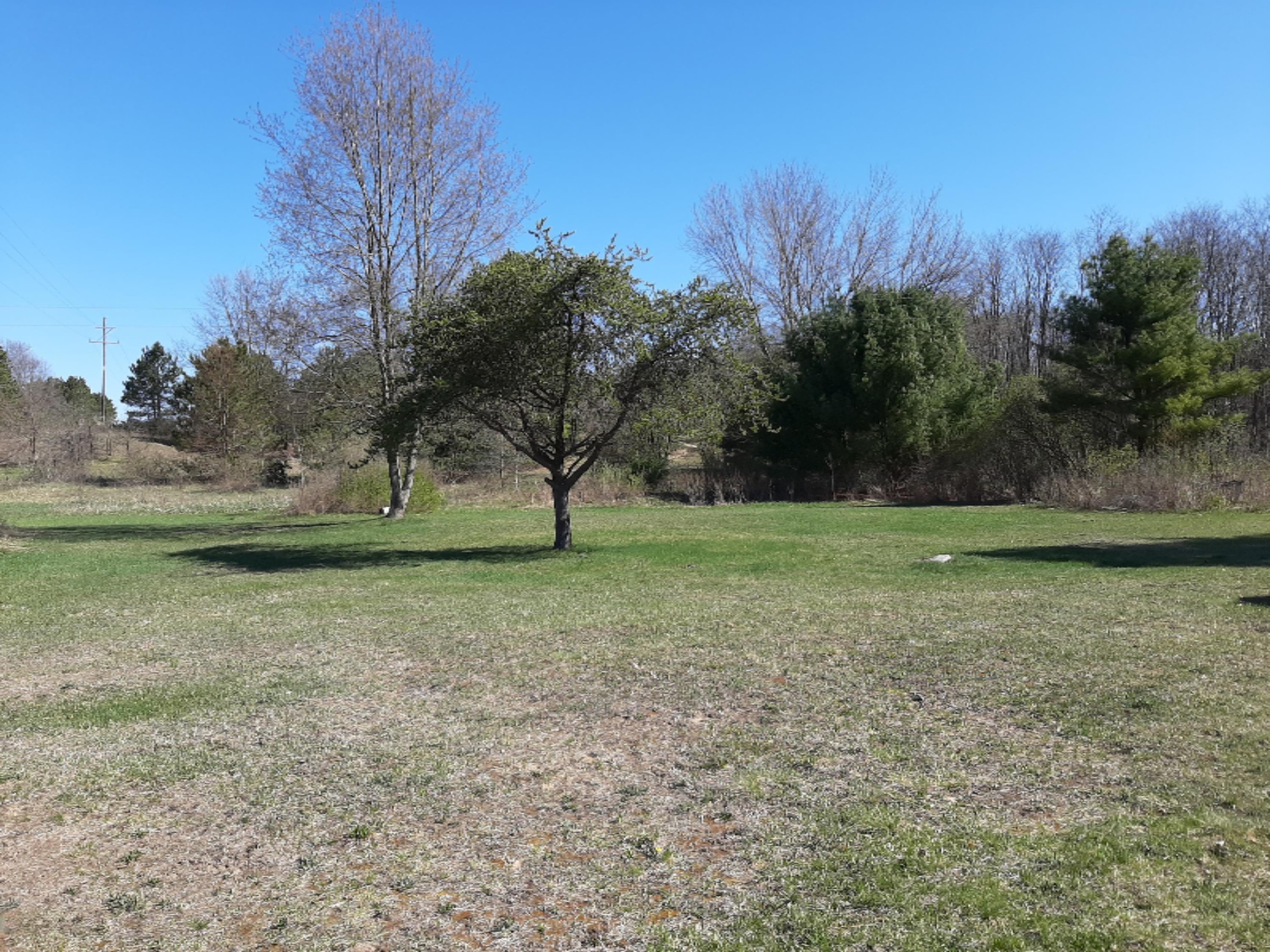 17921 Old Logging Road Hersey, MI 49639 - Photo 21 of 25 18