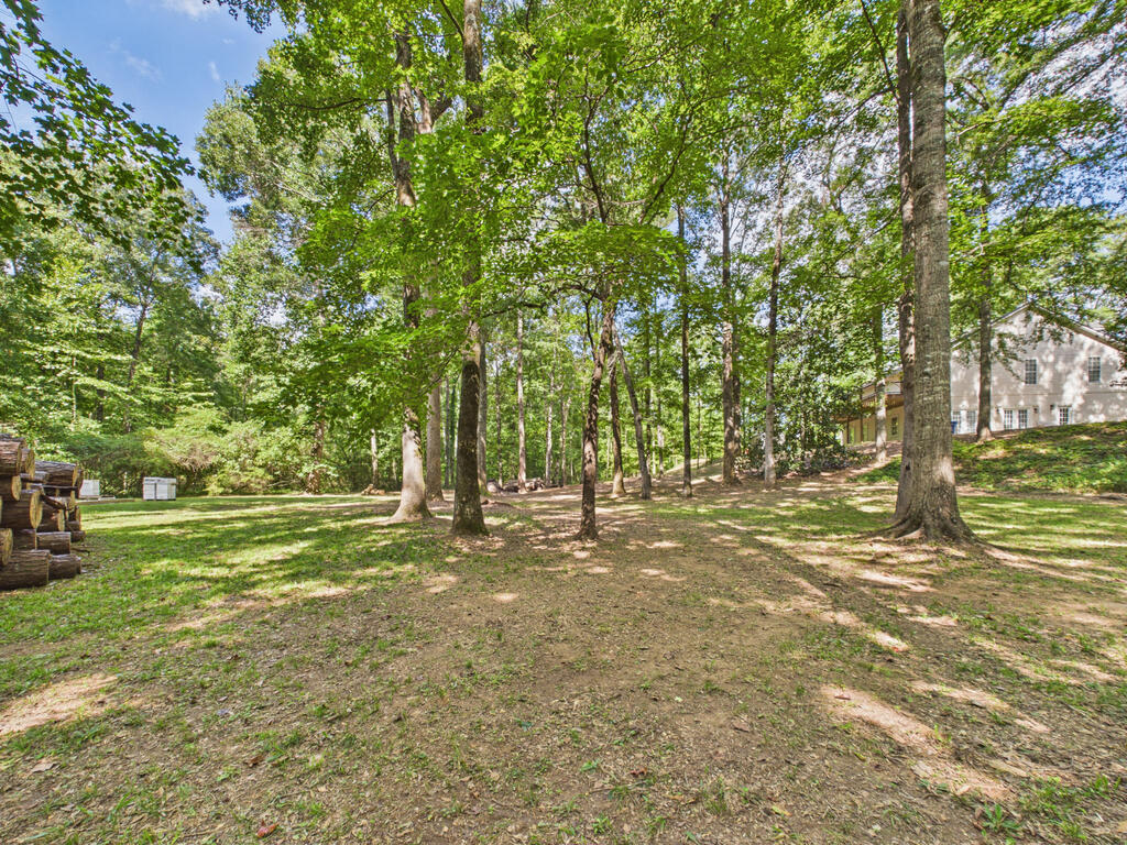 1732 Lee Road Salem, AL 36874 - Photo 50 of 58 Gallery Image 50