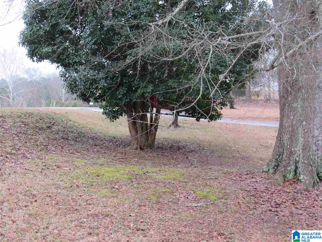 190 County Road 484 Clanton, AL 35046 - Photo 11 of 45