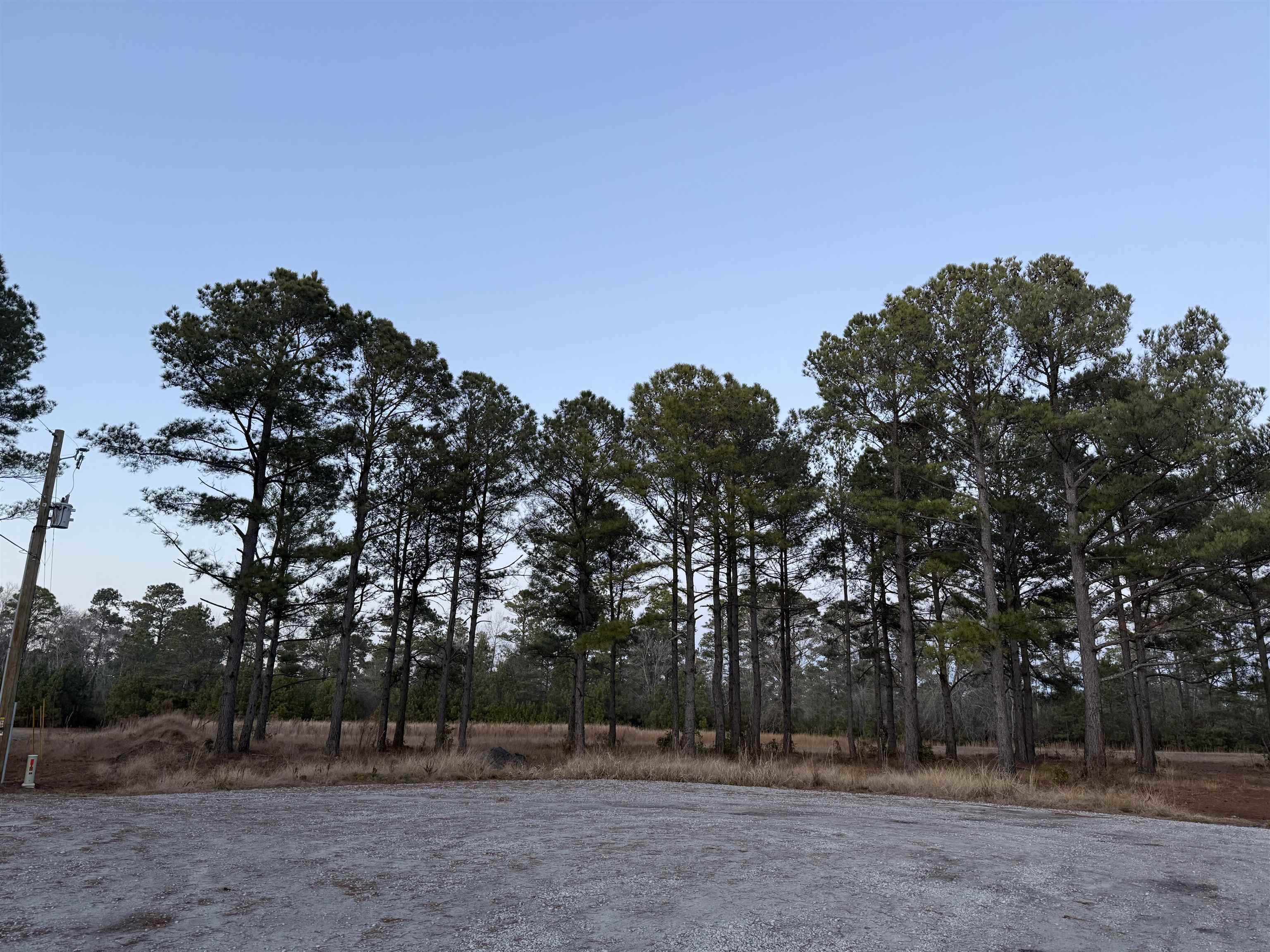 Tbd Belland Court Loris, SC 29569 - Photo 1 of 14