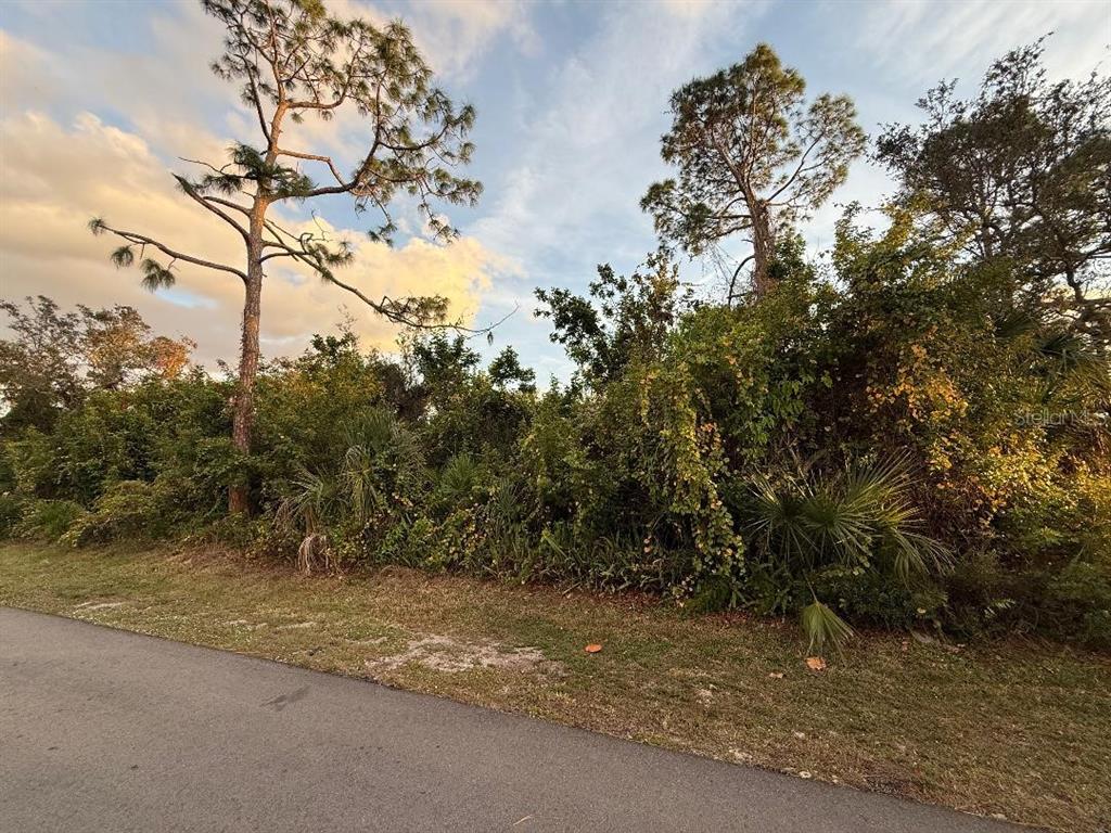 a view of a field with trees in the background