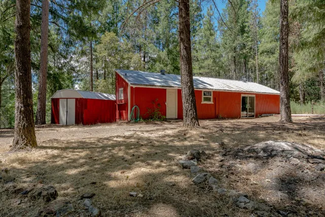 a view of backyard with large trees and wooden fence