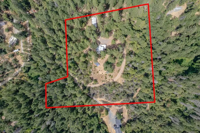 a view of a pathway with flowers