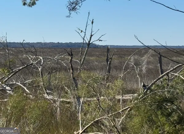 $215,000 | 0 Riverview East Drive, Unit 49, Kings Bay, GA 31558