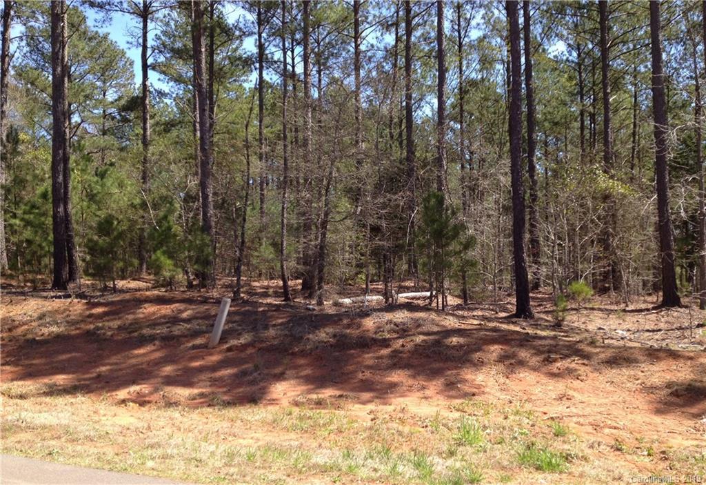 4079 Persimmon Road, Unit 47 Lancaster, SC 29720 - Photo 3 of 32 Gallery Image 3