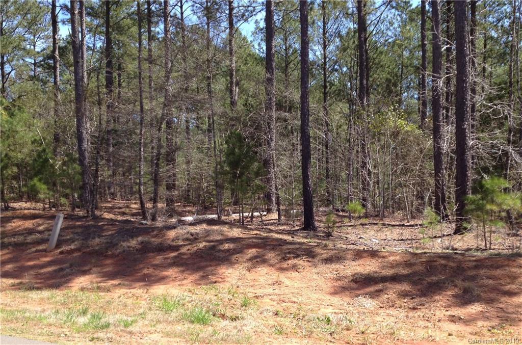4079 Persimmon Road, Unit 47 Lancaster, SC 29720 - Photo 4 of 32 Gallery Image 4