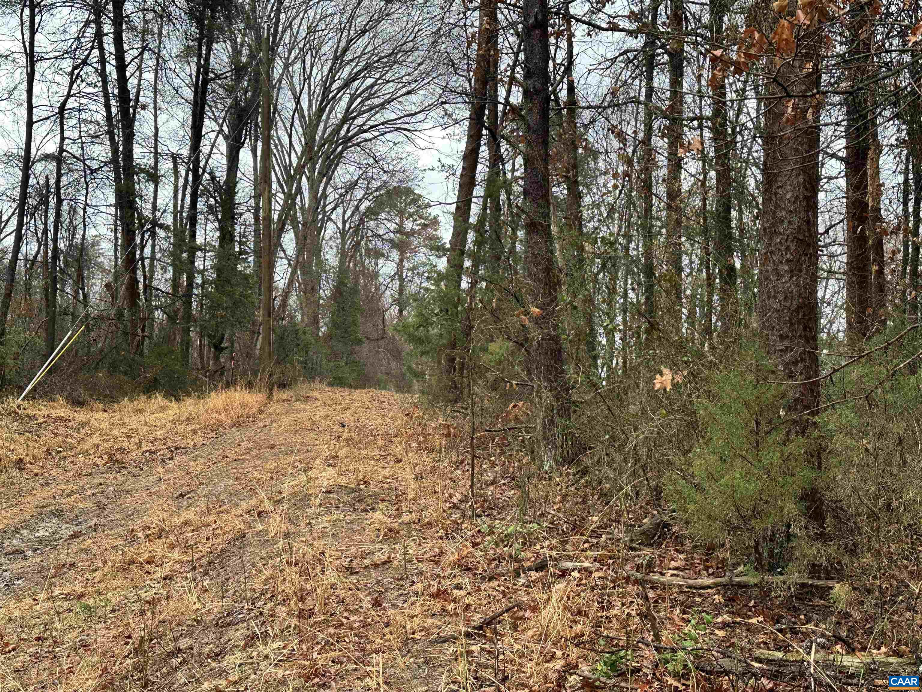 0 Elly Road Aroda, VA 22709 - Photo 14 of 28 Looking toward starting corner uphill. Lot is to the right.