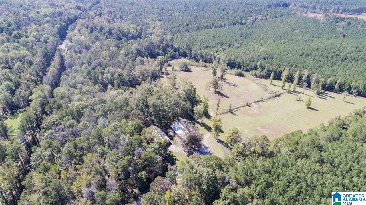 20505 Highway 55 Sterrett, AL 35147 - Photo 1 of 15
