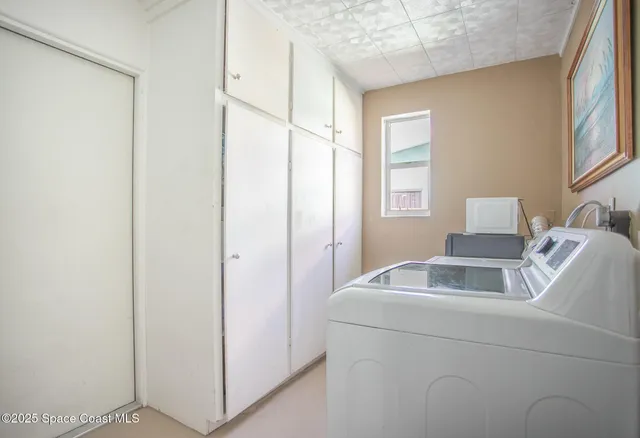 a garden with plants and trees