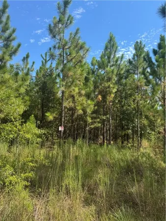 $700,000 | 1603 Dl Durrence Road, Reidsville, GA 30453