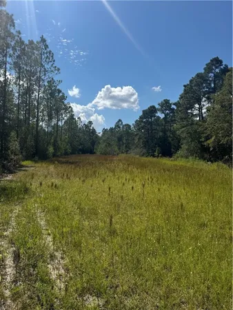 $700,000 | 1603 Dl Durrence Road, Reidsville, GA 30453