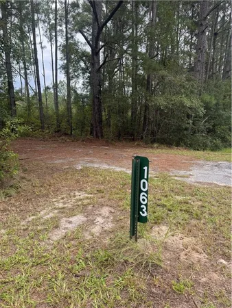 $700,000 | 1603 Dl Durrence Road, Reidsville, GA 30453