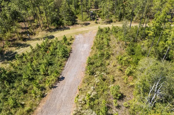 $700,000 | 1603 Dl Durrence Road, Reidsville, GA 30453