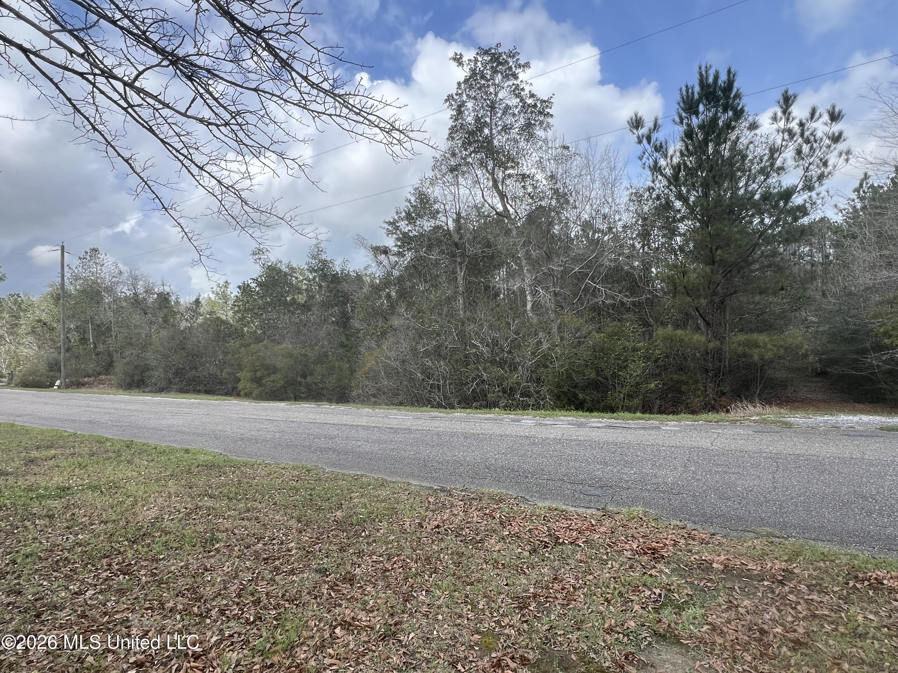 0 Vic Wertz Road Saucier, MS 39574 - Photo 2 of 3 IMG_0003