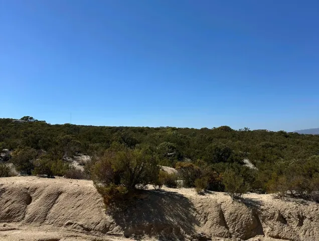 a view of a mountain range with trees