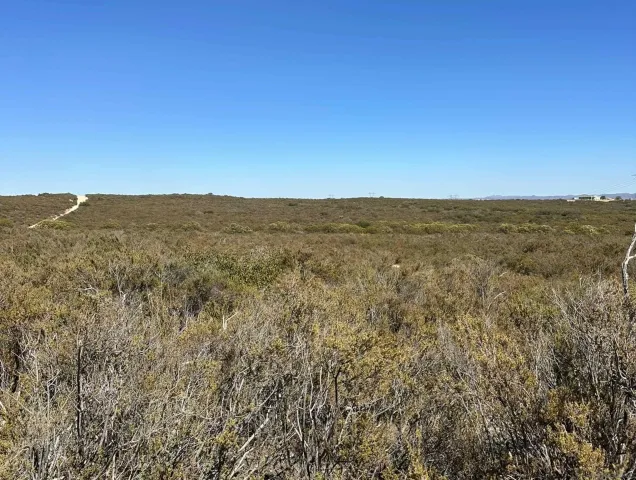 a view of a mountain range with trees