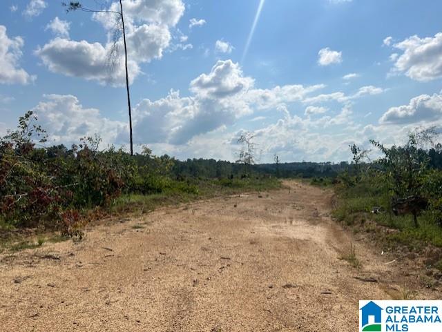 11482 Camp Oliver Road Adger, AL 35006 - Photo 34 of 48