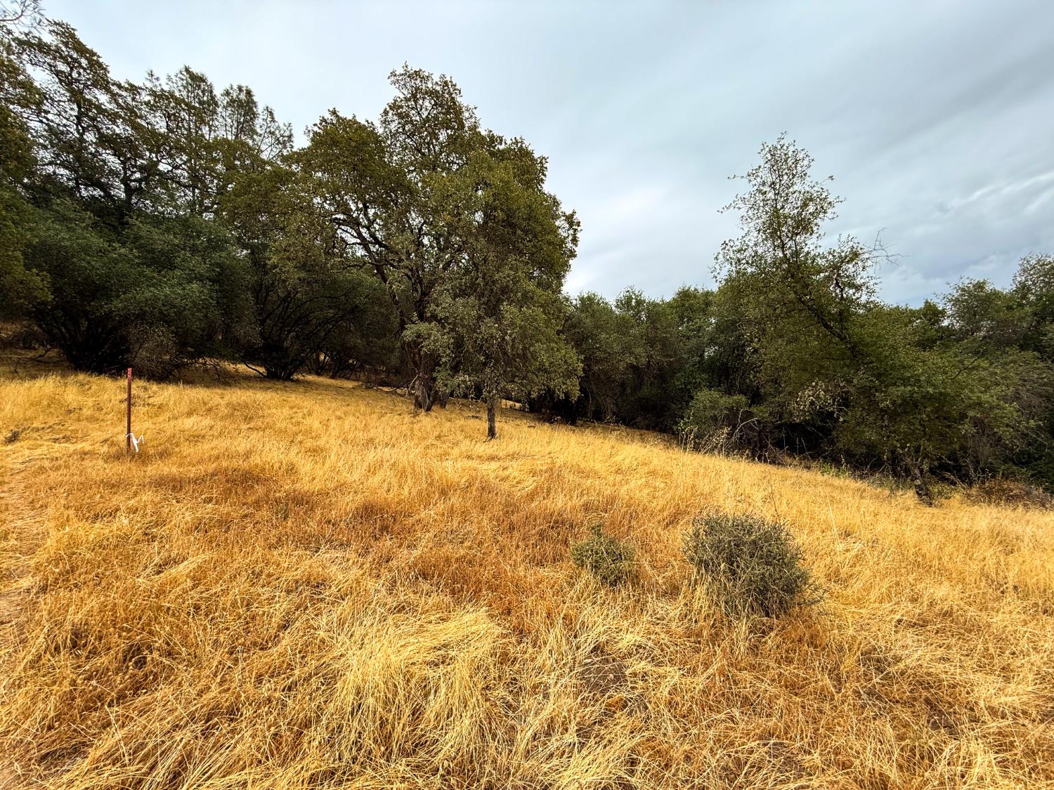 6791 Carvers Road Lotus, CA 95651 - Photo 13 of 13 a view of empty room with a yard