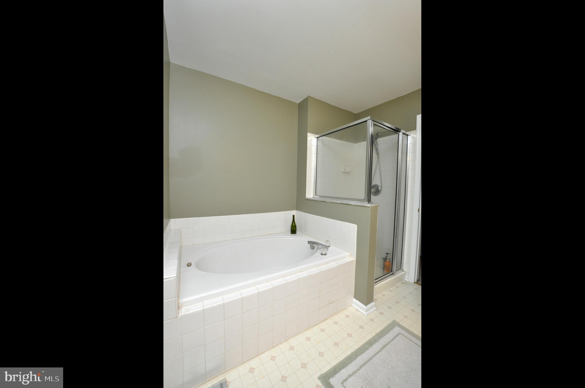 154 Buckingham Way Mount Laurel, NJ 08054 - Photo 21 of 29 Garden Tub in Master Bath