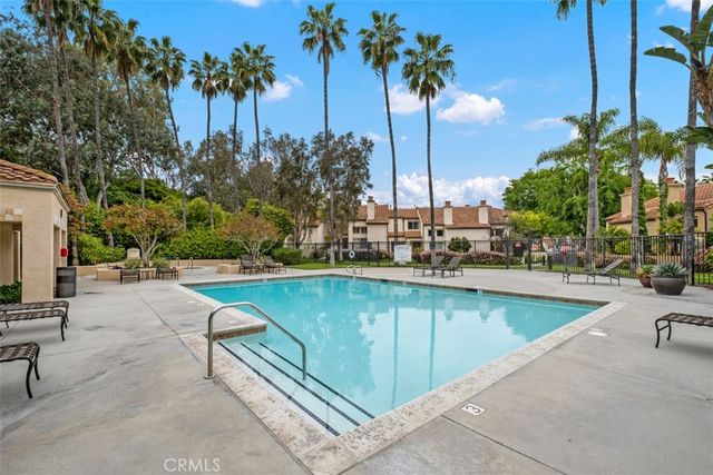 a view of a swimming pool with a lawn chairs and palm tree