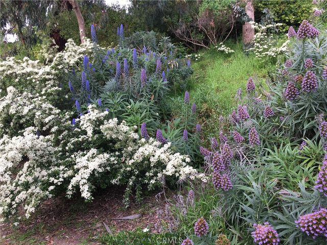 a view of a flower in a garden