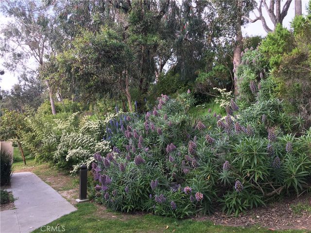 a view of a garden with plants and large trees