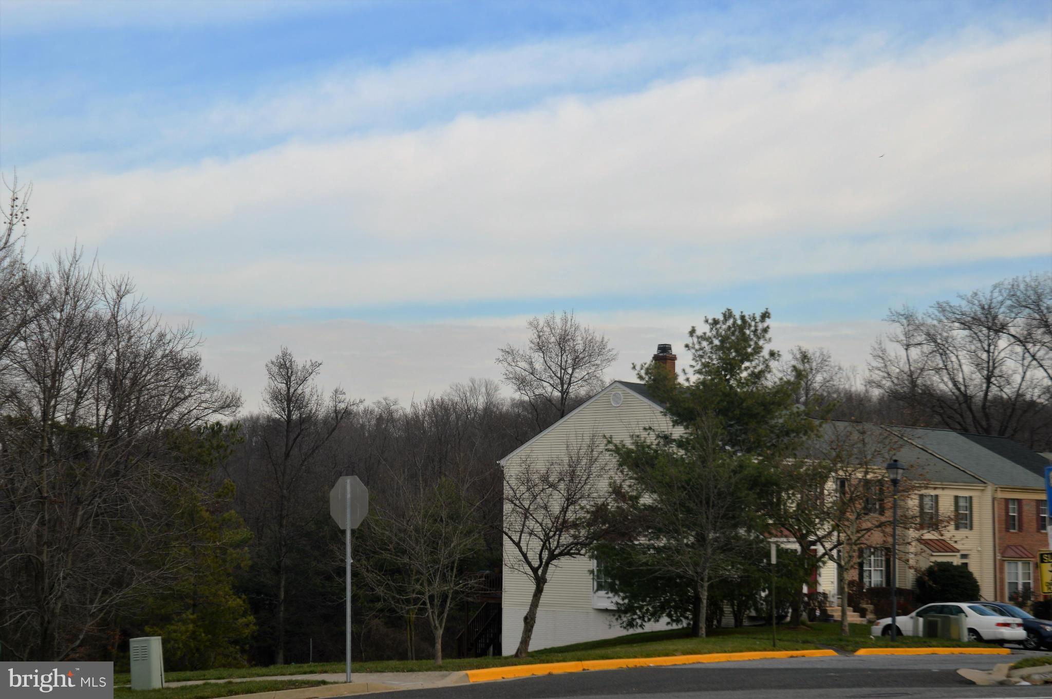 12243 Apache Tears Circle Laurel, MD 20708 - Photo 4 of 22