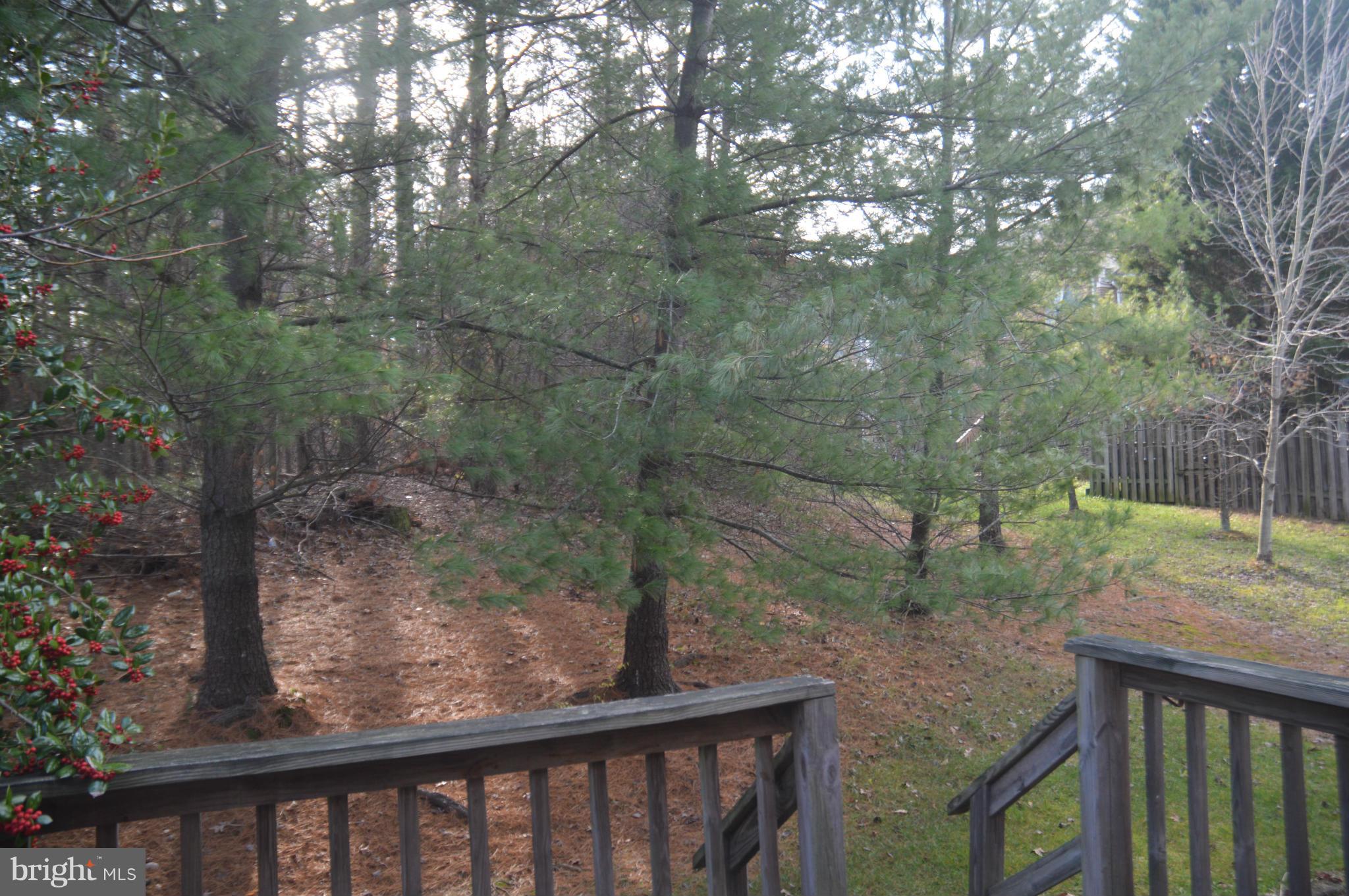 12243 Apache Tears Circle Laurel, MD 20708 - Photo 5 of 22 a view of a balcony with mountain view