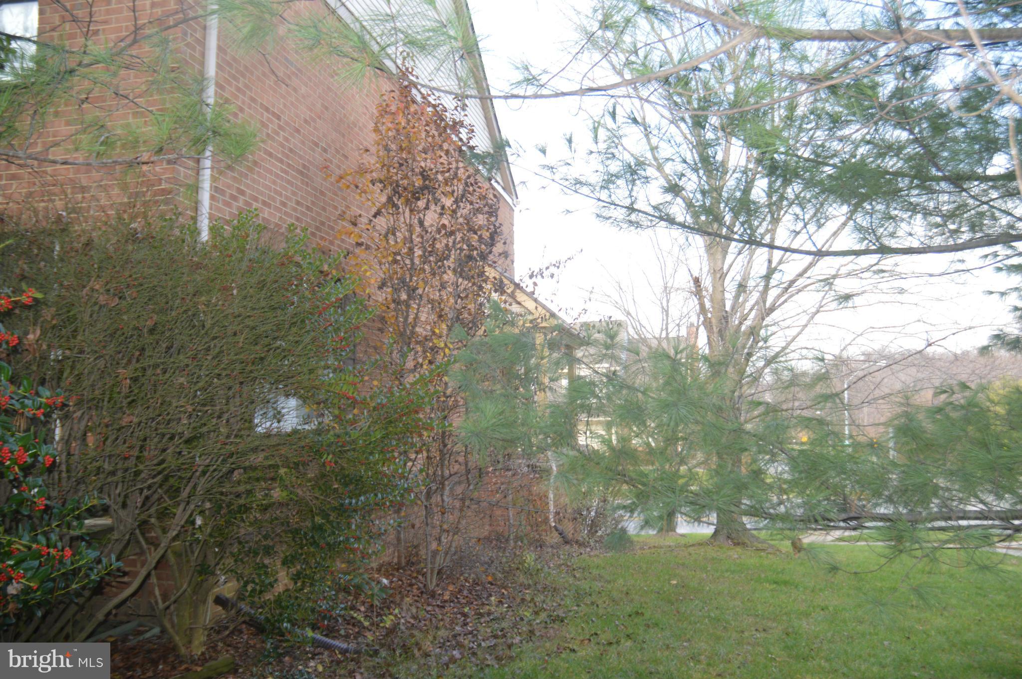 12243 Apache Tears Circle Laurel, MD 20708 - Photo 7 of 22 a view of a yard
