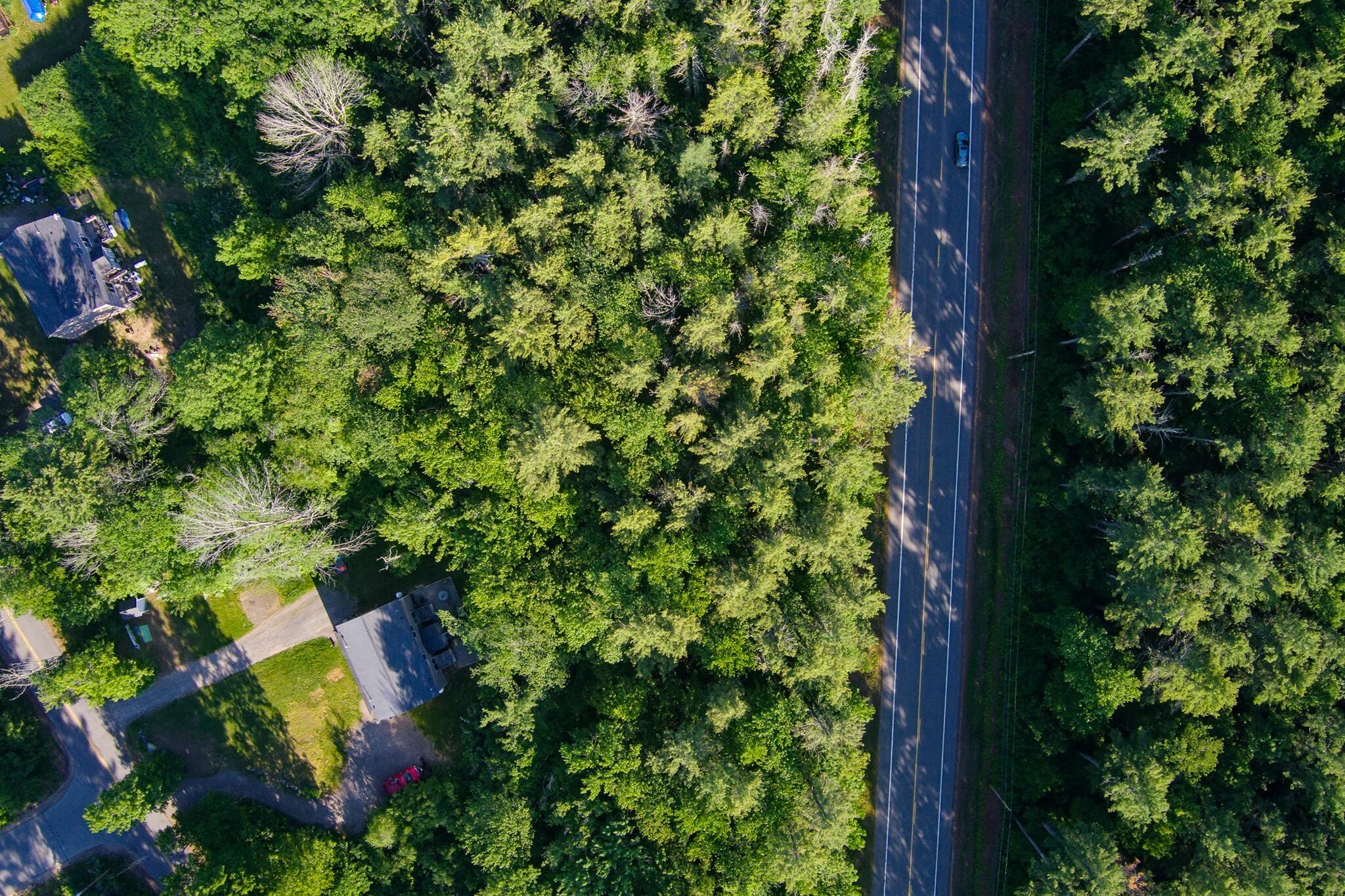 4 Branch Road Wells, ME 04090 - Photo 18 of 38 Aerial