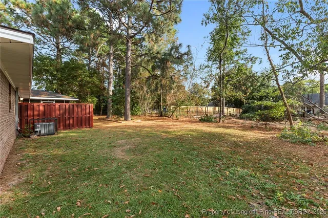 a view of backyard with green space