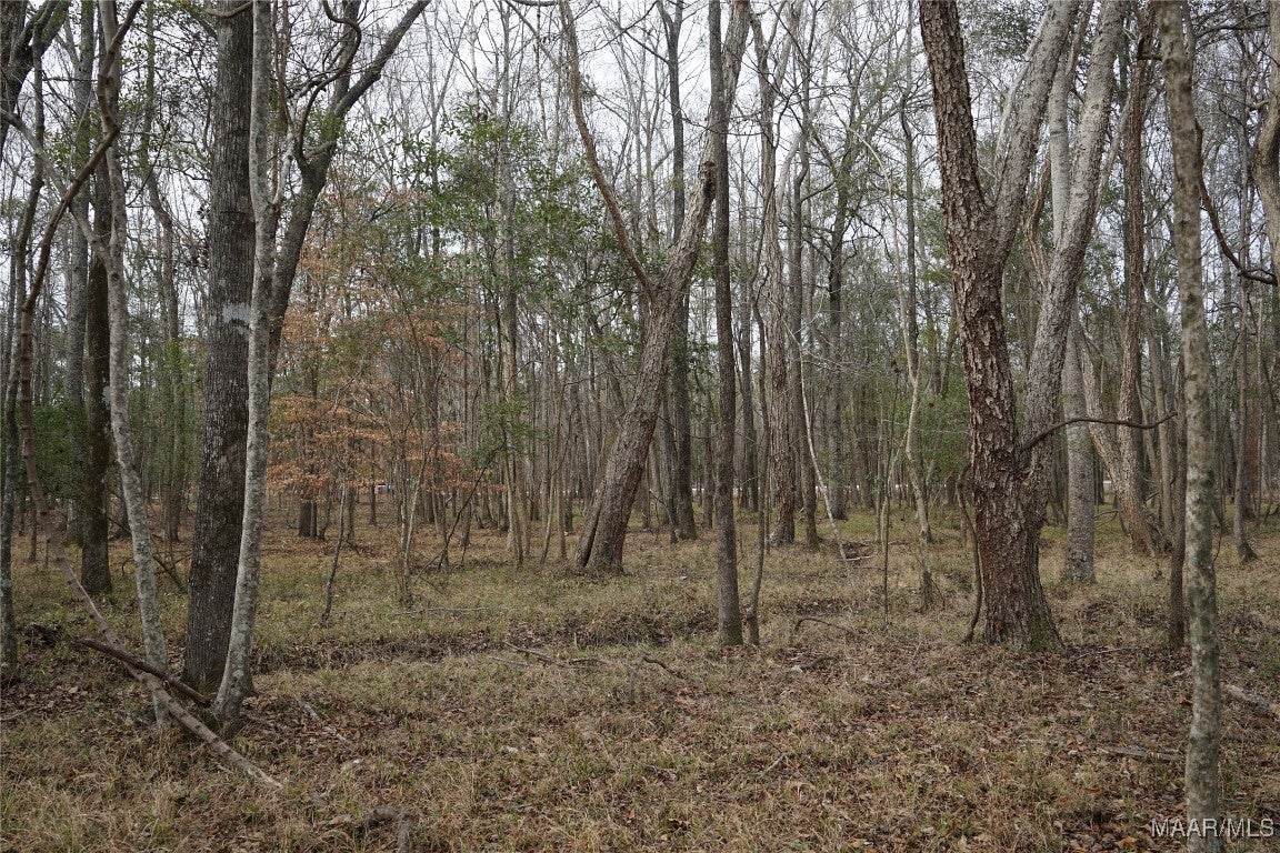 2434 Peake Road Ramer, AL 36069 - Photo 24 of 24 Gallery Image 24
