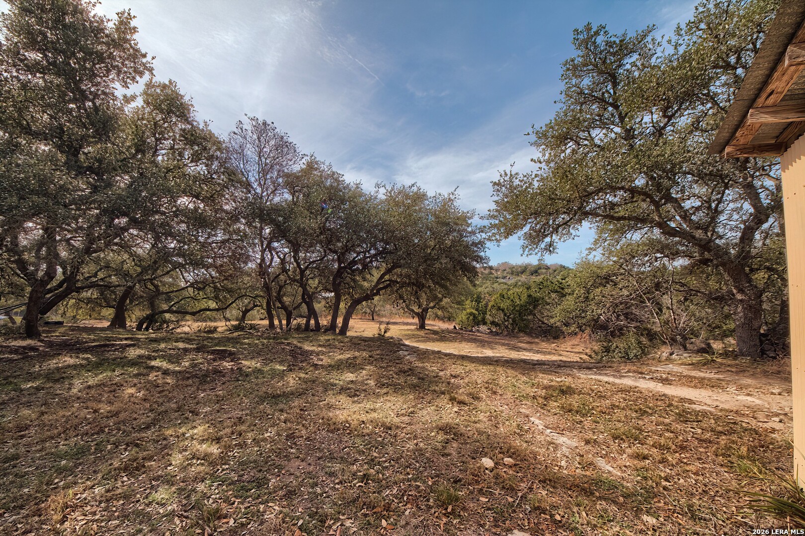 3909 McCall Creek Road Blanco, TX 78606 - Photo 34 of 55 a view of dirt yard with a tree